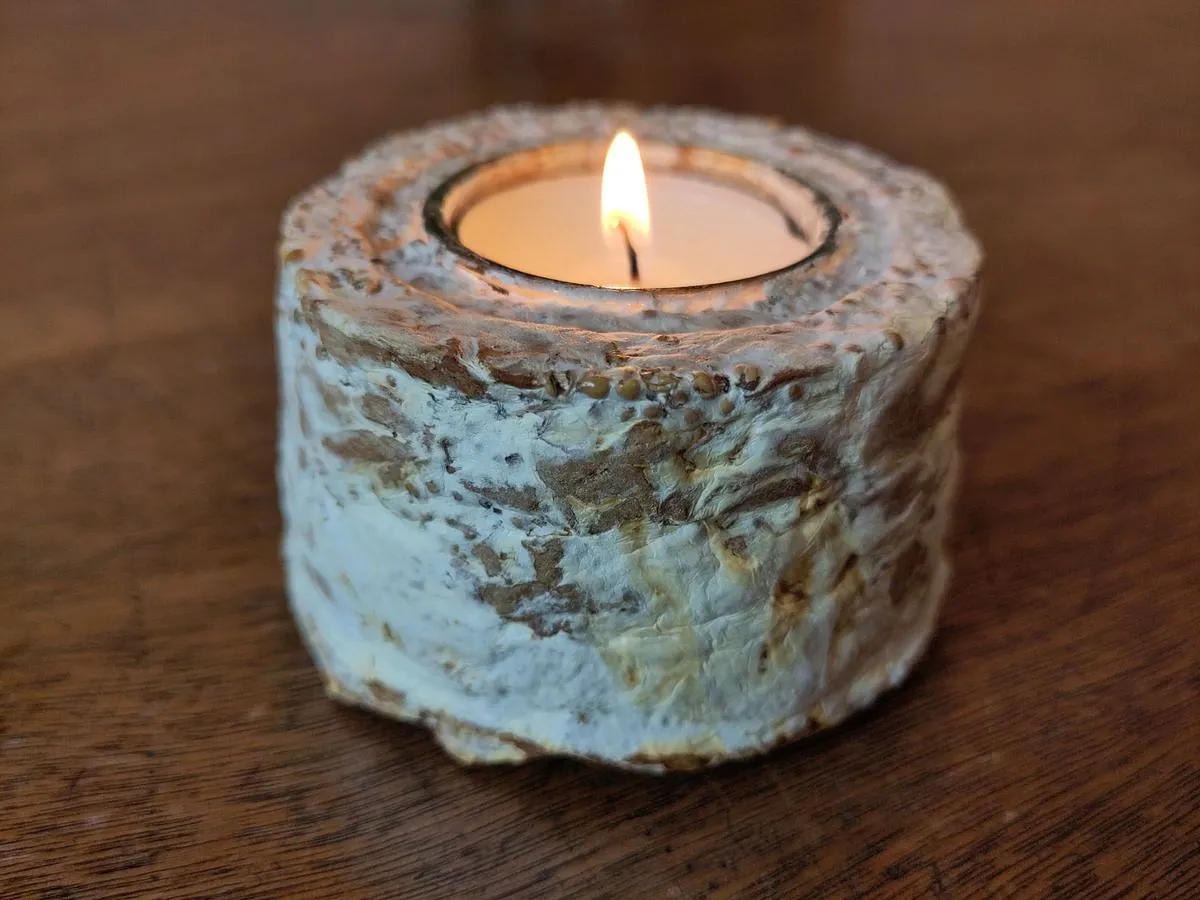 MycelCreation-Pilz-Workshop: Nachhaltige Alltagsgegenstände aus Pilz-Myzel (kostenlos)