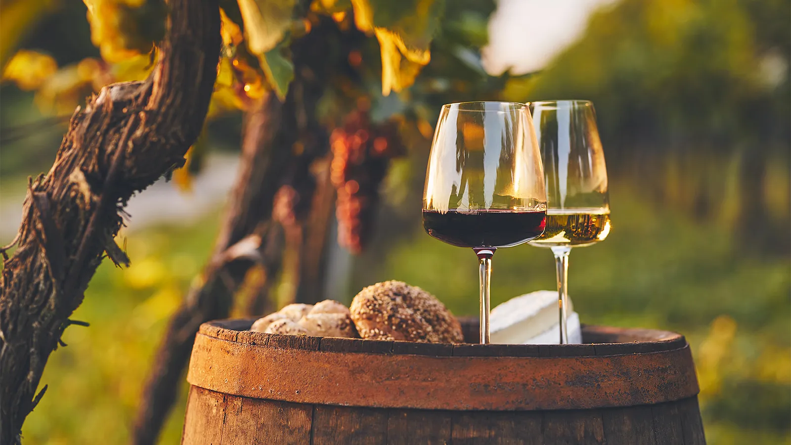 Internationale Weinklassiker Weinlager Speicher I