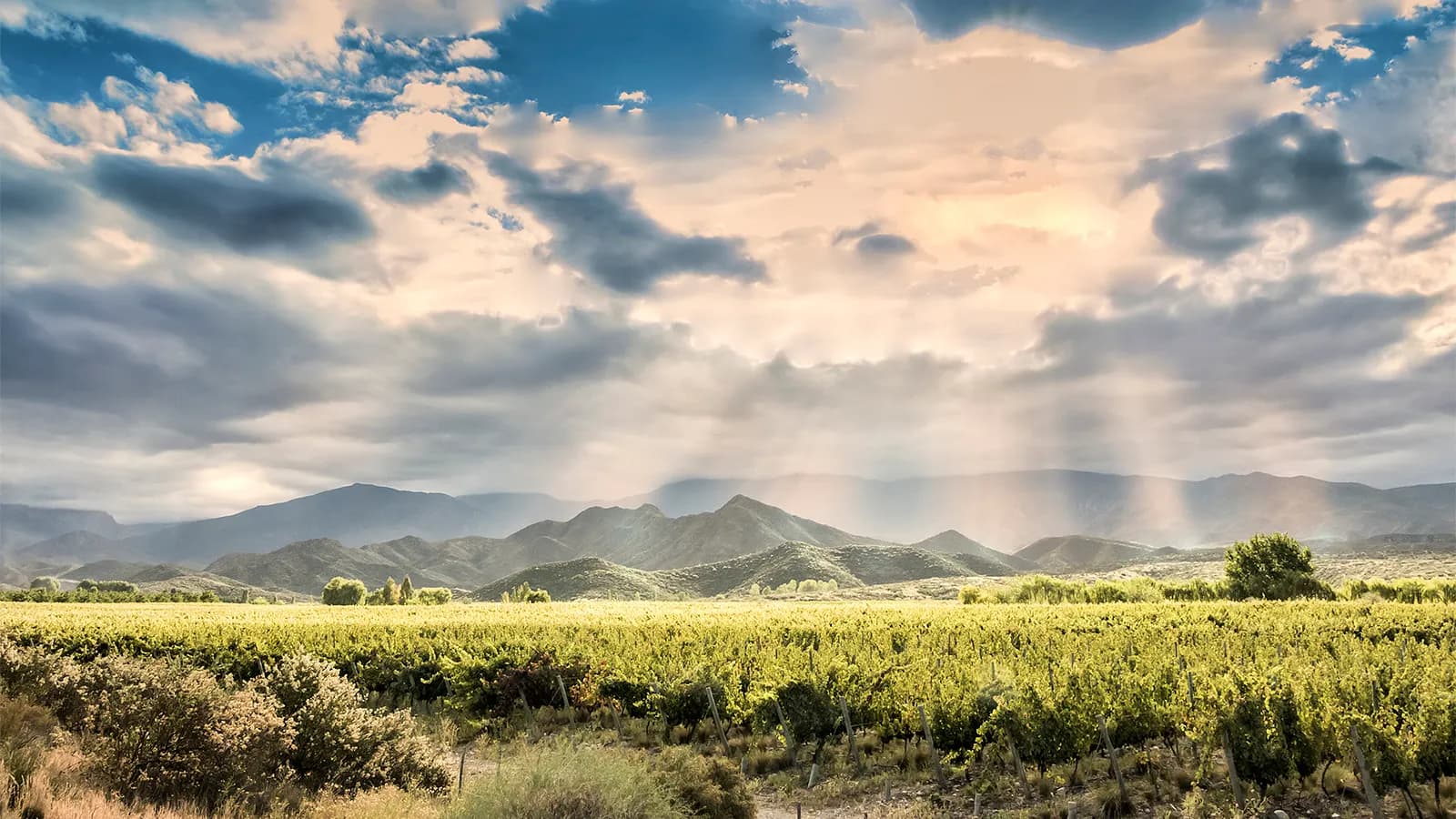 Weintasting: Chile und Argentinien - im Weinlager Bremerhaven