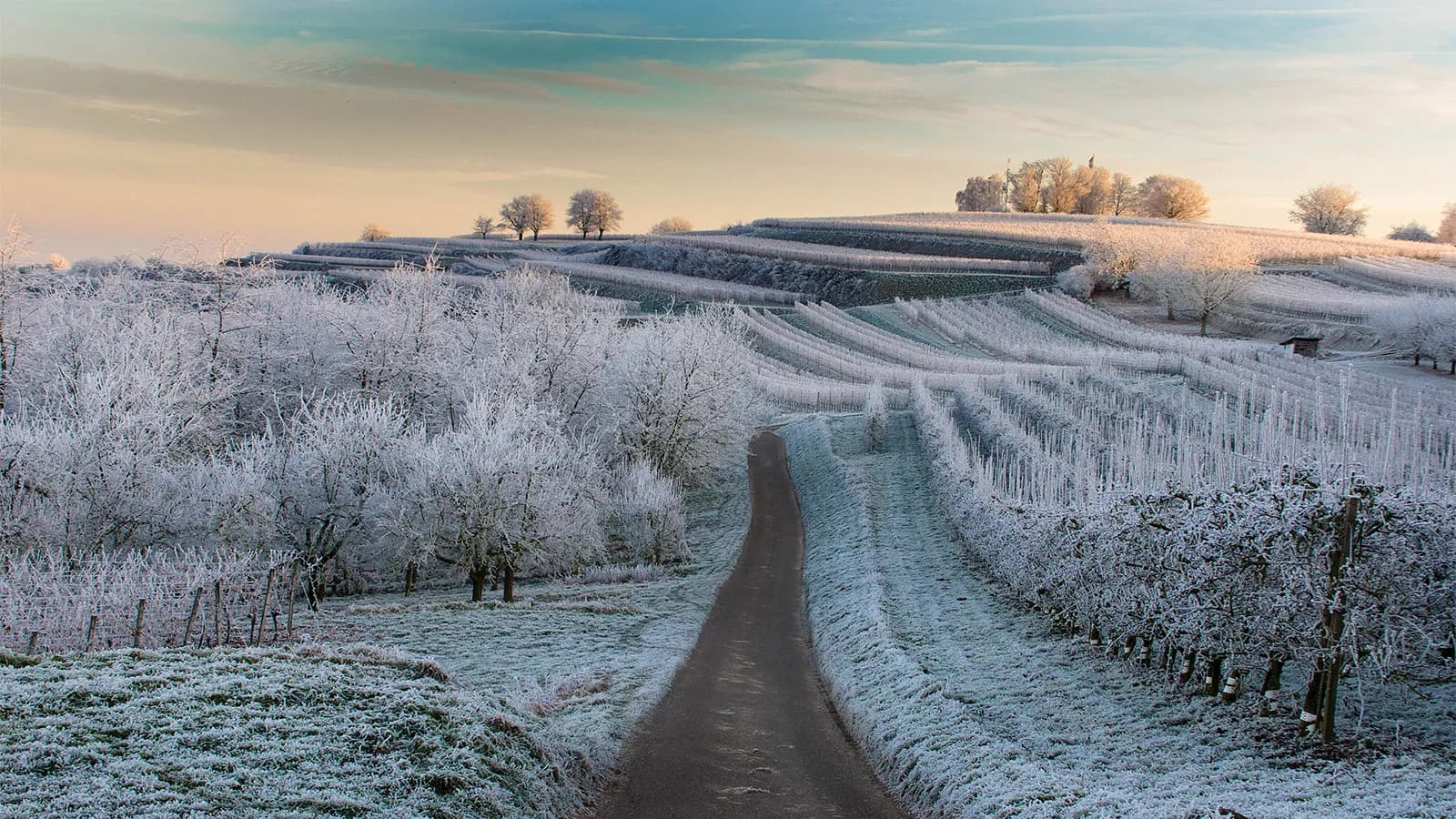 Weintasting: Große Winterweinprobe im Weinlager Bremerhaven