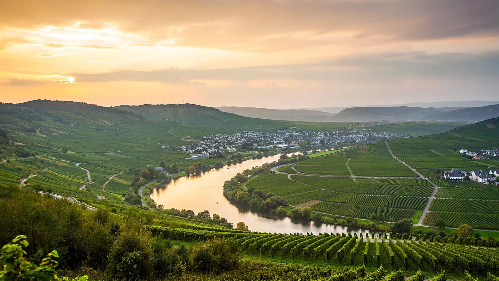 Weintasting: Deutschlandreise im Weinlager Schwachhausen